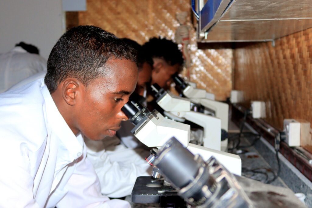 c360 2024 12 15 13 26 13 297